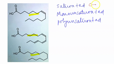 classify-each-of-the-following-fatty-acids-as-saturated-monounsaturated-or-polyunsaturated-ho-ho-ho-00366