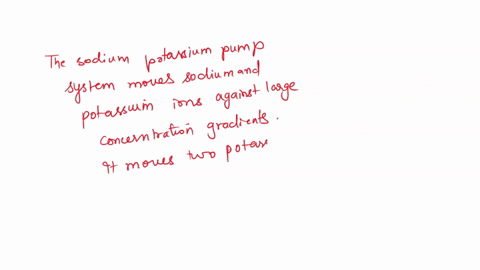 39-sodium-potassium-pumps-a-establish-an-electrochemical-gradient-across-membranes-b-require-carrier-proteins-and-energy-c-accumulate-potassium-inside-cells-d-are-important-in-signal-transmi-90923