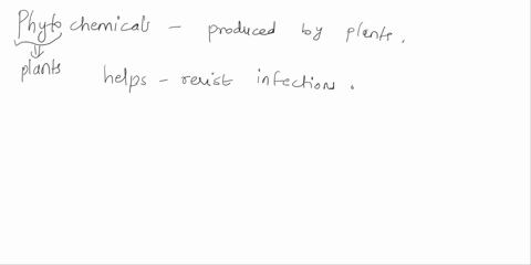 phytochemicals-a-are-essentials-b-many-have-healthful-benefits-c-should-be-avoided-d-are-in-animal-sources-of-food-12033