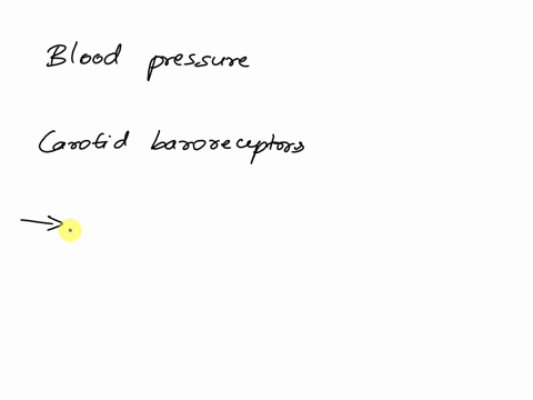 which-of-the-following-physiological-responses-would-occur-as-a-result-of-an-acute-drop-in-blood-pressure-as-measured-by-the-carotid-baroreceptors-choose-all-that-would-apply-a-increase-in-s-41594
