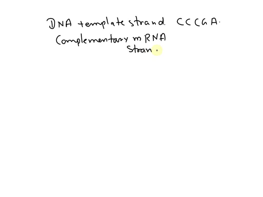 SOLVED To the DNA template strand of CCCGAT? What is the base sequence of the complementary