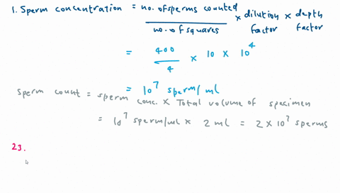 text-using-a-110-dilution-of-a-specimen-with-a-volume-of-2-ml-400-sperm-are-counted-in-four-large-squares-wbc-squares-of-the-neubauer-hemocytometer-calculate-the-sperm-concentration-and-the-49617