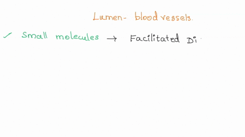 how-does-solutes-enter-and-exit-the-lumen-of-the-blood-vessels-43825