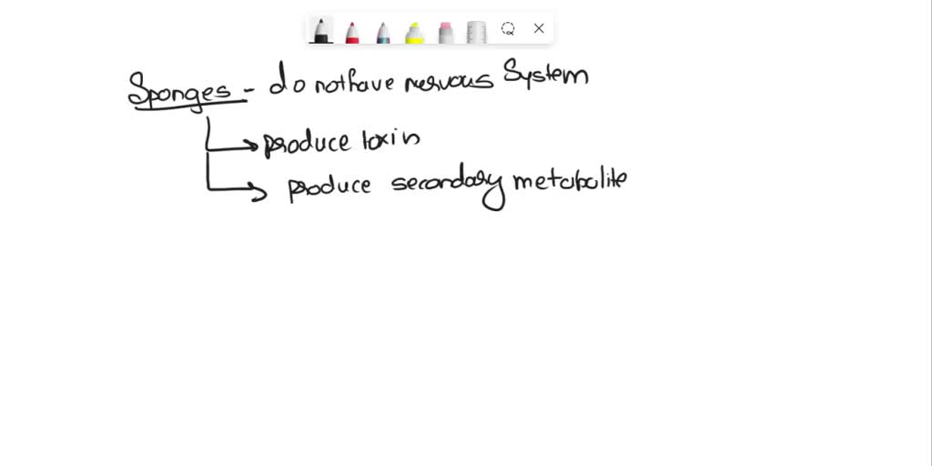 SOLVED Describe how sponges defend themselves against predators.