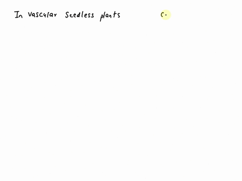 in-seedless-vascular-plants-_____-corresponds-to-the-gametophyte-90833