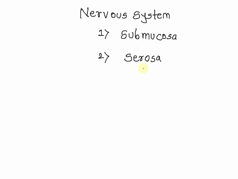 the-regulates-digestive-tract-motility-secretion-and-blood-flow-and-its-neurons-are-found-in-the-multiple-choice-enterlc-nervous-system-submucosa-and-muscularis-autonomlc-nervous-system-sero-18178