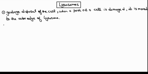lysosomes-contain-hydrolytic-enzymes-used-for-intracellular-digestion-they-are-responsible-for-breaking-down-macromolecules-within-eukaryoric-cells-by-either-phagocytosis-or-autophagy-which-55743