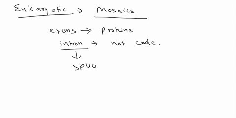 many-eukaryotic-genes-are-composed-of-mosaics-of-exons-and-introns-if-you-compare-a-particular-mrna-with-its-primary-transcript-which-of-the-following-is-true-a-the-introns-are-neither-trans-31404
