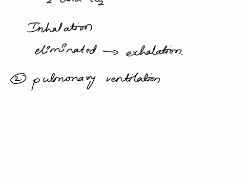 list-the-major-functions-of-the-respiratory-system-33368