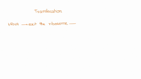 question-7-2-points-after-translocation-has-occurred-during-translation-trna-molecule-will-exit-the-ribosome-via-the-site-the-trna-in-the-site-is-bound-t0-the-growing-polypeptide-and-new-trn-61789