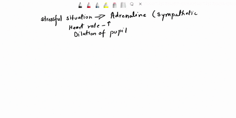 which-of-the-following-systems-of-the-body-interact-when-a-stressful-situation-causes-a-persons-heart-rate-to-increase-and-pupils-of-the-eyes-to-dilate-a-nervous-system-and-excretory-system-04368