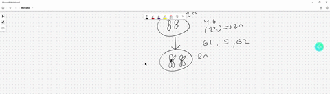 compared-with-its-parent-cell-when-it-was-in-g1-of-the-cell-cycle-each-progeny-cell-at-the-end-of-mitosis-has-half-the-number-of-chromosomes-and-half-the-amount-of-dna-half-the-number-of-chr-83863
