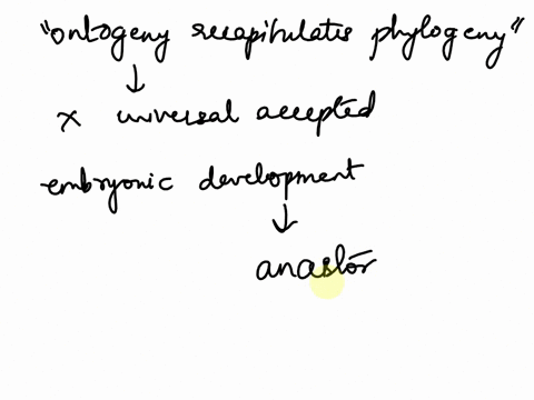 ch-18-1-in-the-late-1800s-a-biologist-studying-animal-embryos-coined-the-phrase-ontogeny-recapitulates-phylogeny-meaning-that-the-physical-development-of-an-animal-embryo-ontogeny-seemed-to-05846