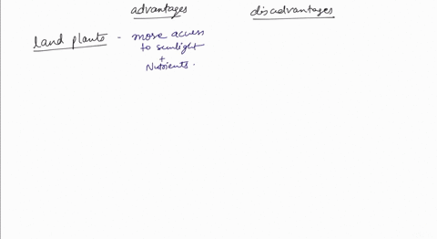 what-advantages-and-disadvantages-would-terrestrial-existence-have-had-for-the-first-plants-to-invad-99435