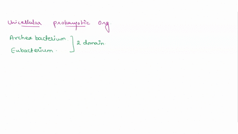 which-domains-includes-unicellular-prokaryotic-organisms-select-all-that-apply-select-all-that-apply-eukarya-bacteria-archaea-40794