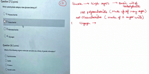 question-17-2-points-which-carbohydrate-calegory-does-glucose-belong-to-polysaccharide-2-disaccharide-3-monosaccharido-glycogen-question-18-2-points-which-of-the-iollowing-organic-moloculos-37952