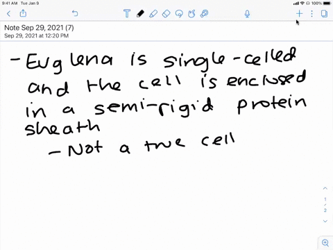 what-is-the-important-structural-difference-between-algae-and-euglena-between-algae-and-land-plants