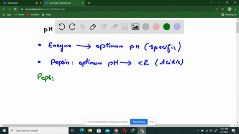pepsin-is-a-digestive-enzyme-that-functions-best-at-an-acidic-ph-10-20-ph-what-would-happen-if-pepsin-were-to-be-placed-in-a-basic-ph-solution-note-your-answer-should-discuss-the-effect-of-p-29893