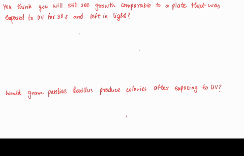 you-expose-cells-to-uv-light-for-30-seconds-and-then-wrap-the-plates-in-aluminum-foil-to-keep-them-dark-do-you-think-you-would-still-see-growth-comparable-to-plate-that-was-exposed-to-uv-lig-53623