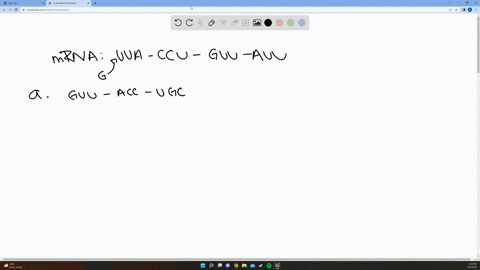 use-the-coding-sequence-below-to-answer-the-following-questions-mrna-codons-uua-ccu-guu-auu-amino-acids-leu-pro-val-thr-a-guanine-nucleotide-was-inserted-at-the-beginning-of-this-sequence-as-82962
