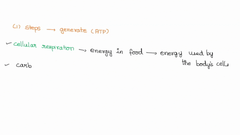 describe-the-steps-that-carbohydratesfatsand-protein-go-through-to-generate-atp-energy-in-the-metabolic-cycle-within-the-cell-digestion-prepares-food-for-absorption-metabolism_is-the_use-of-54993