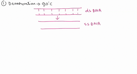 ease-label-the-images-to-review-the-process-of-lechophoresis-polymerase-chain-reaction-and-how-its-products-can-be-analyzed-using-gel-drntrttc-7-neatont-hetlrtton-ur47-citatto-82214