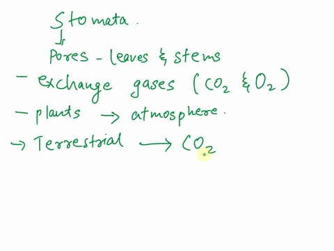 which-of-the-following-statements-about-stomata-is-accurate-a-stomata-are-not-important-in-algae-because-they-do-not-need-co2-b-stomata-when-closed-allow-co2-to-diffuse-into-plants-c-stomata-01435