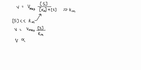 the-michaelis-menten-equation-models-the-hyperbolic-relationship-between-s-and-the-initial-reaction-rate-vo-for-an-enzyme-catalyzed-single-substrate-reaction-e-s-es-e-p-the-model-can-be-more-97523