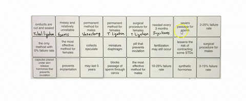 drag-and-drop-each-item-t0-the-correct-method-of-pregnancy-prevention-messy-and-relatively-unreliable-permanent-mcmnodect-males-pennaneni-method-hemaics-surqicai-sevels-oviducts-aro-cut-and-15472