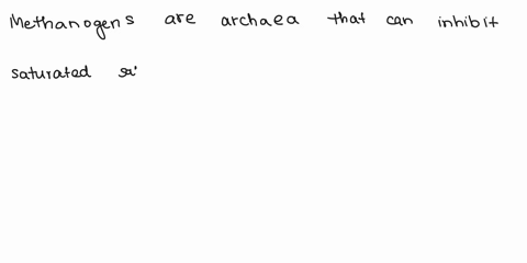 which-of-the-following-groups-of-archaea-inhabit-saturated-salt-solutions-nanoarchaeota-methanogens-24952