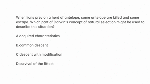 a6-13-write-the-letter-and-the-answer-when-lions-prey-on-a-herd-of-antelope-some-antelope-are-killed-and-some-escape-which-part-of-darwins-concept-of-natural-selection-might-be-used-to-describe-this-s
