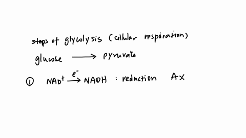 what-type-of-reactions-are-observed-in-this-image-glyceraldehyde-chop-3-phosphate-ho-h-dehydrogenase-1-c0-1-p-h-nad-nadh-glyceraldehyde-3-phosphate-chop-h-c-oh-1-c0-1-o0-13-bisphospho-glycer-77957
