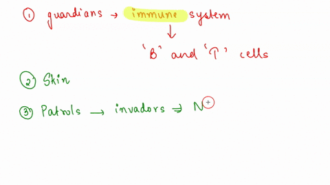 what-are-the-guardians-of-our-immune-system-what-is-the-first-line-of-defense-against-germs-what-patrols-the-cell-looking-for-viruses-besides-white-blood-cells-and-antibodies-what-protects-t-35569
