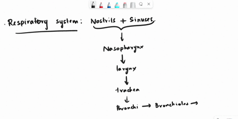 sinusitis-bronchitis-and-asthma-are-all-associated-with-__________-abuse-15397