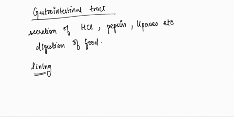the-lining-of-the-gastrointestinal-tract-that-allows-for-absorption-and-secretion-is-26864