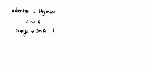 the-two-strands-that-make-up-the-dna-double-helix-are-said-to-be-antiparallel-what-does-that-mean-nucleotides-containing-adenine-base-pair-with-nucleotides-containing-thymine-the-5-to-3-dire-80576