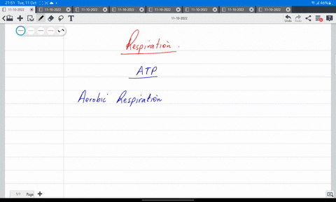 which-of-the-following-processes-produce-the-most-atp-during-aerobic-respiration-group-of-answer-choices-electron-transport-chain-and-oxidative-phosphorylation-fermentation-substrate-level-p-22276