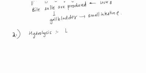 describe-how-the-fats-are-broken-down-from-the-fat-globules-to-chylomicrons-in-the-small-intestine-be-sure-to-name-them-at-every-step-25066