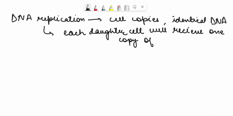 which-process-must-occur-first-before-any-cell-division-can-take-place-91283