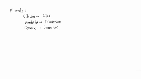 plurals-of-some-medical-terms-can-be-difficult-to-convert-from-the-singular-because-there-are-so-many-different-rules-for-plurals-practice-makes-perfect-in-your-ability-to-form-the-correct-p-56014