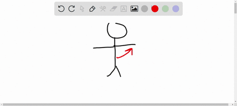 when-doing-jumping-jacks-this-is-the-movement-when-you-bring-your-arms-t0-your-body-flexion-extension-adduction-abduction-prevo-28393