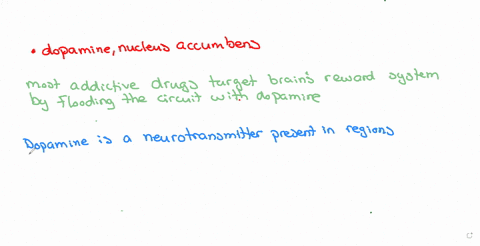 most-addictive-drugs-target-the-reward-pathway-consuming-these-drugs-leads-to-an-increase-in-the-neurotransmitter-_________________-in-the-__________________-dopamine-ventral-tegmental-area-correct-do