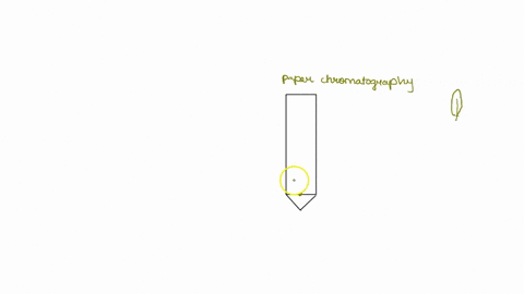 thin-layer-chromatography-biological-molecules-can-be-separated-by-using-chromatographic-techniques-the-diagram-belw-show-the-separation-of-sereral-spinach-leaf-pigments-by-paper-chromatogra-53412