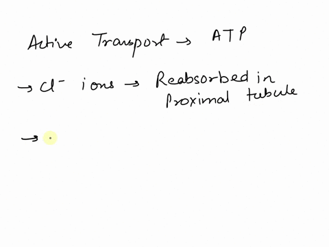 when-sodium-ions-are-reabsorbed-through-the-wall-of-the-renal-tubule-by-active-transport-chloride-ions-are-__________-reabsorbed-by-active-transport-secreted-by-passive-transport-reabsorbed-05765
