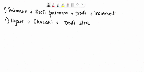 which-of-the-following-replication-proteins-is-correctly-paired-wlth-its-function-primase-removes-rna-primers-and-replaces-them-with-dna-ligase-enhances-separation-of-dna-strands-hellcase-jo-41021