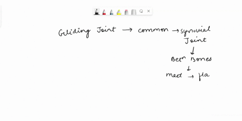 which-of-the-following-pairs-is-correctly-matched-a-fibrous-joint-between-phalanges-b-cartilaginous-joint-skull-bones-c-gliding-joint-between-zygapophyses-of-the-successive-vertebrae-d-hinge-51667