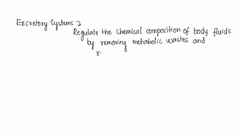 what-is-the-function-of-the-excretory-system-respiration-transport-nutrients-break-down-food-remove-waste-82358