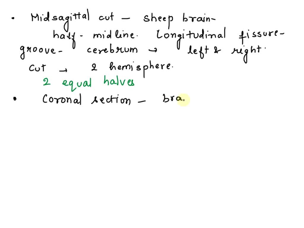 SOLVED Please answer as soon as possible, thank you. Lab Sheep Brain