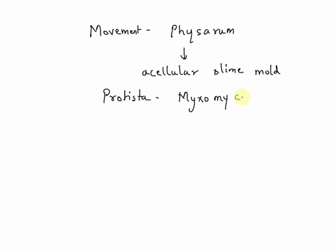 which-of-the-following-best-describes-movement-in-physarum-a-cilia-propel-the-slime-mold-b-flagella-25126