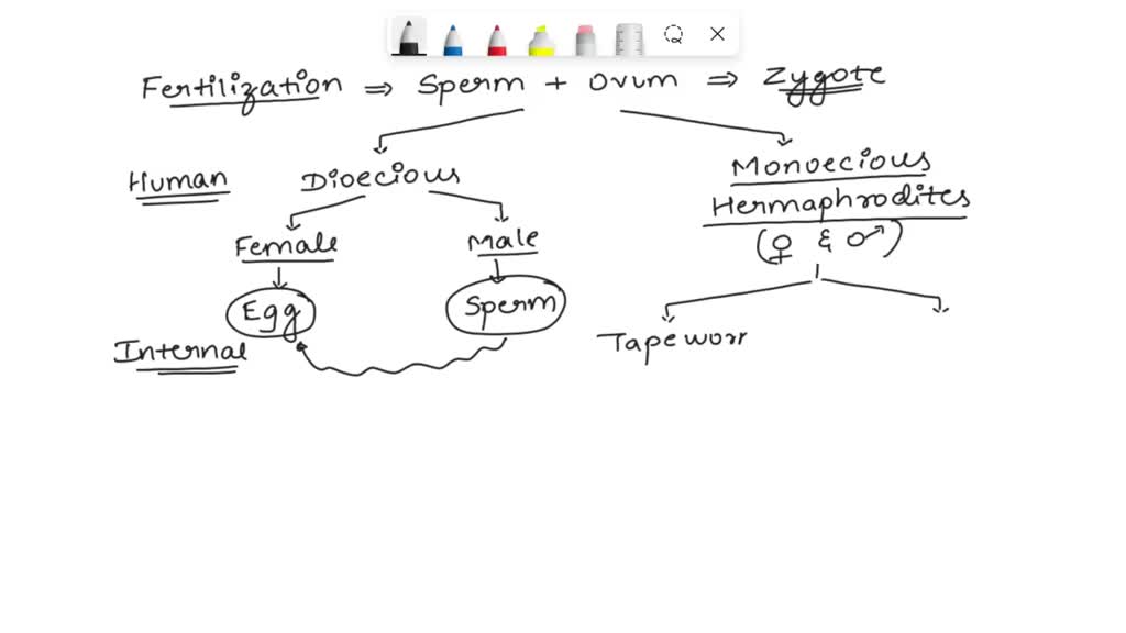 SOLVED: Fill in the blanks. 2. Organism in which male and female gametes are present in the same organisms are called ———. Science lesson 9 class 8 ( Reproduction in Animals) SOLVED: Fill in the blanks. 2. Organism in which male and female gametes are present in the same organisms are called ———. Science lesson 9 class 8 ( Reproduction in Animals)